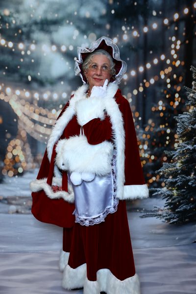 Pro Santa School photo