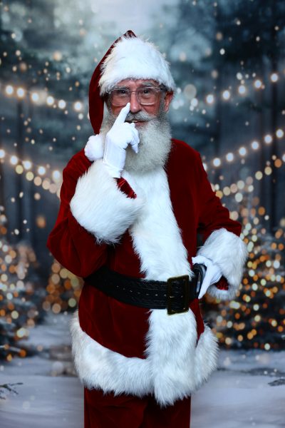 Pro Santa School photo