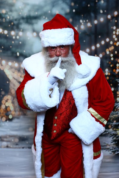 Pro Santa School photo