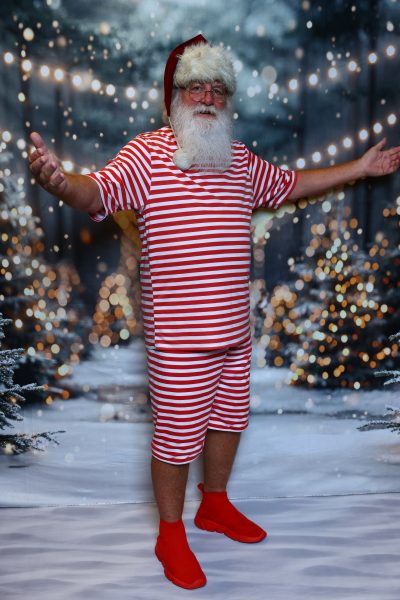 Pro Santa School photo
