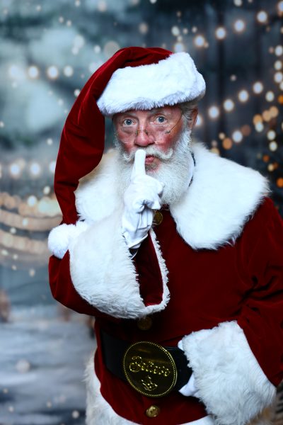 Pro Santa School photo