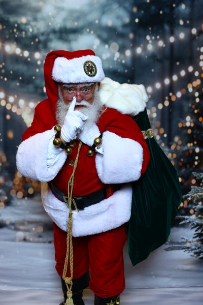Pro Santa School photo