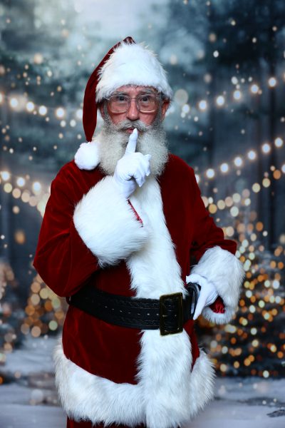 Pro Santa School photo