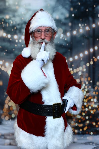 Pro Santa School photo