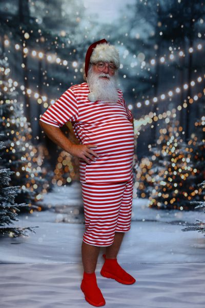 Pro Santa School photo